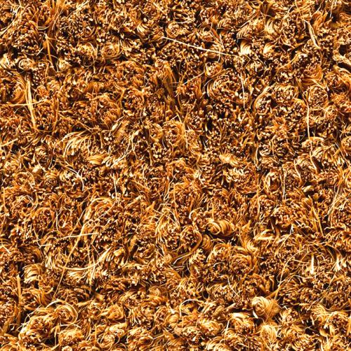 ARUBA 17 - Tapis brosse coco