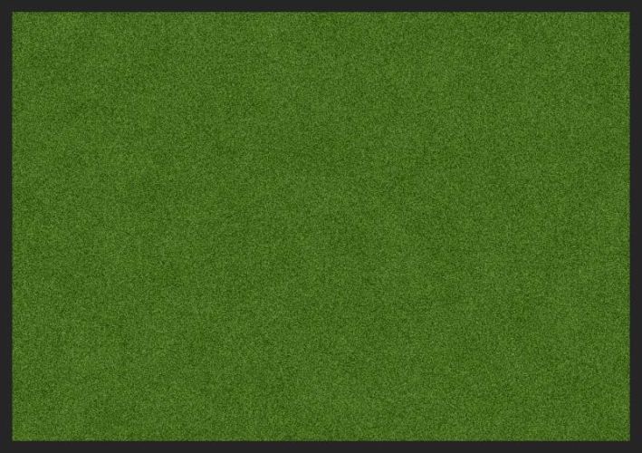 ALI QAPU - Tapis de propreté, coloris ROUGE