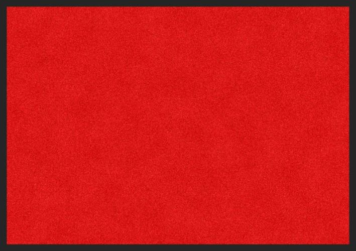 ALI QAPU - Tapis de propreté, coloris ROUGE