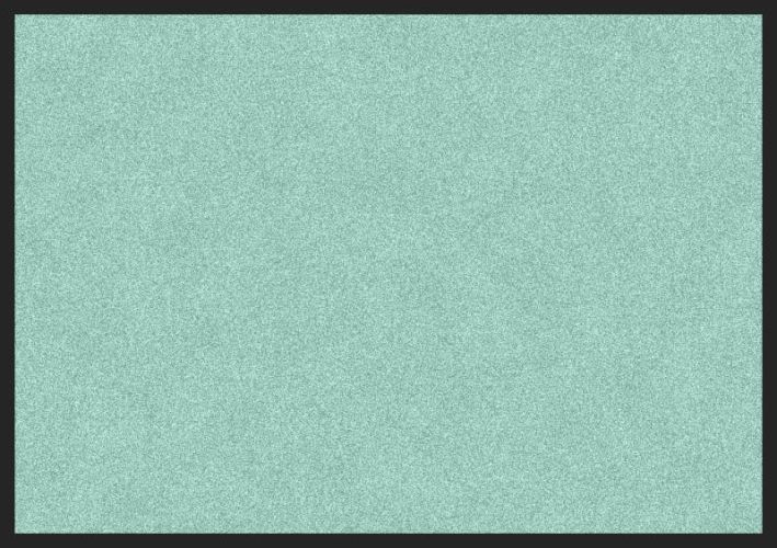 ALI QAPU - Tapis de propreté, coloris ROUGE